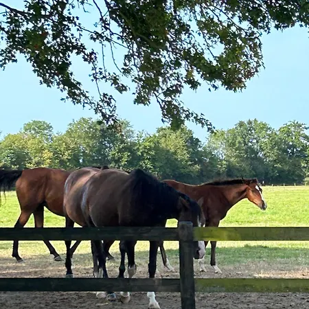 La Longere Du Haras Appartement Manerbe