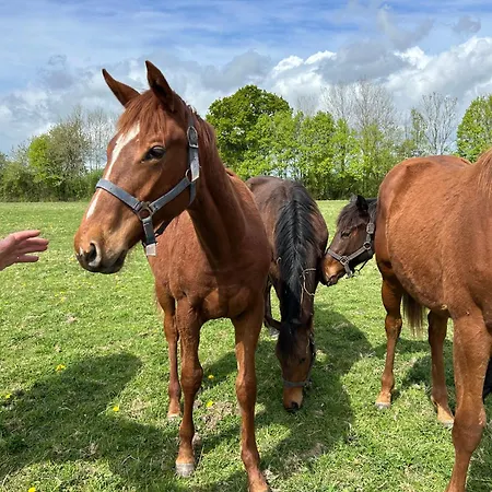 La Longere Du Haras شقة Manerbe