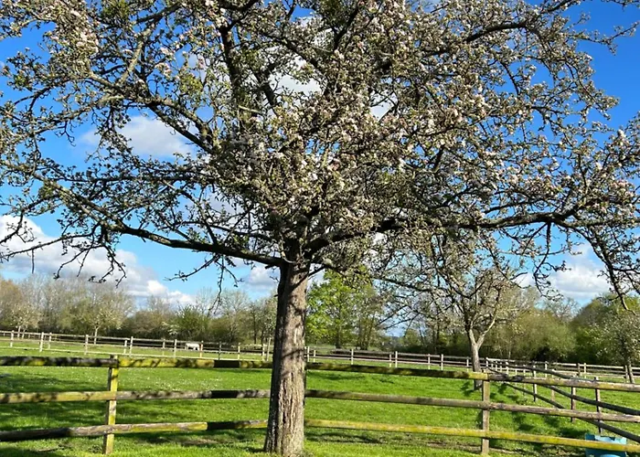 Appartement La Longere Du Haras *