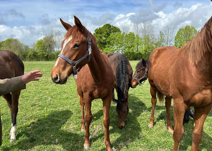 La Longere Du Haras Appartement Manerbe